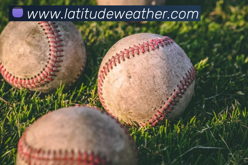 天博在线客服APP 封面图